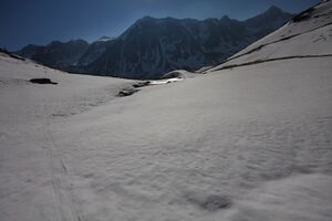 Zinkboden 77485 2011-04-20.jpg