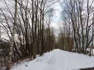 Ennsau Wörschach330112.JPG