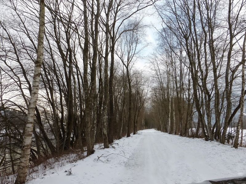 Datei:Ennsau Wörschach330112.JPG