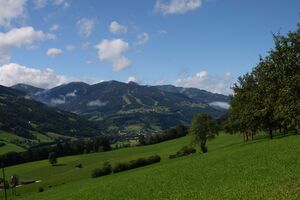 Ennstal-birnberg 27758 2010-08-15.jpg