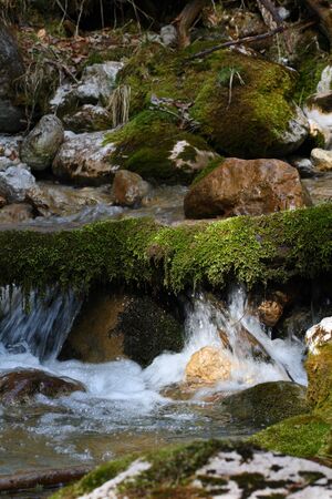 Feisterbach 1142 2008-04-17.jpg