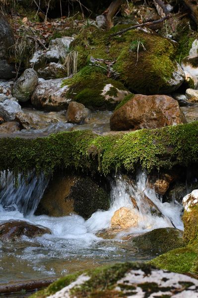 Datei:Feisterbach 1142 2008-04-17.jpg
