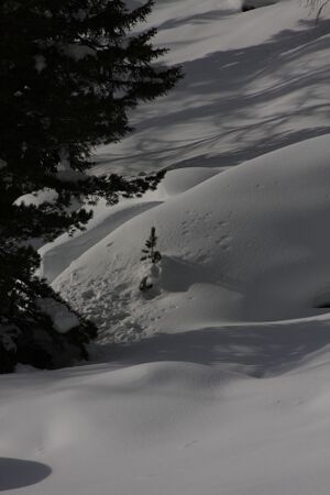 Ferchtlhöhe duisitzkar 65098 2010-12-22.jpg