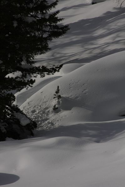 Datei:Ferchtlhöhe duisitzkar 65098 2010-12-22.jpg