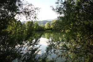 Huberteich 58714 2014-05-26.jpg