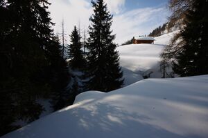 Moseralm-preunegg 82821 2015-03-15.jpg