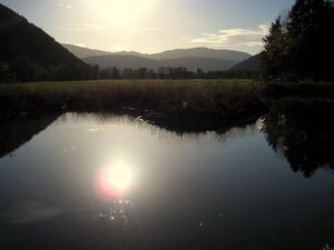 Pürgschachener Moor8044.JPG