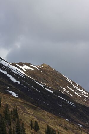 Strickerkar 55660 2014-05-02.jpg