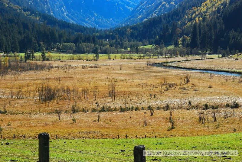 Datei:Tetter Moor Herbst.jpg