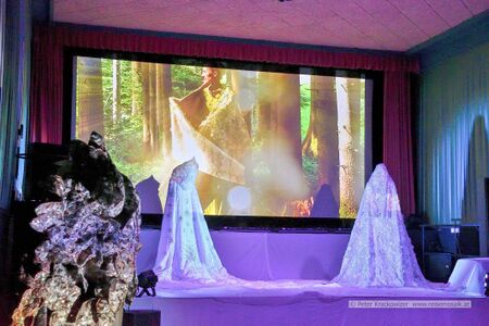 Traumwelt des Lichts - der Geist der Weihnacht 2025 13.jpg