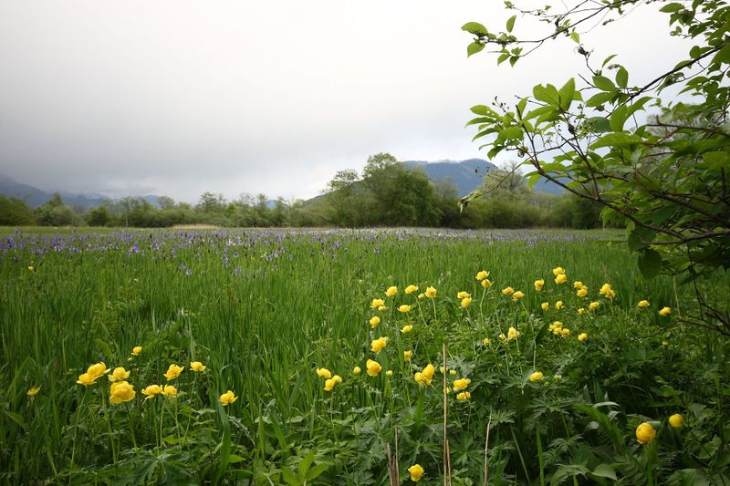 Datei:Trautenfels niederstuttern 57893 2014-05-14.jpg
