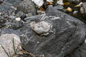 Walchenbach 99840 2015-06-07.jpg