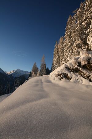 Zur ob.moseralm-preunegg 94321 2007-11-28.jpg