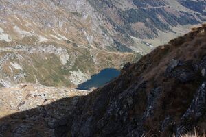 Goldlacken 0434 2013-10-08.jpg