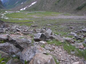 Gollingwinkel 16231 2006-07-05.jpg