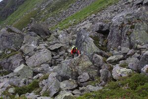 Im Wildkar 2523 2009-07-25.jpg