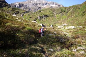 Katschtal 92573 2013-06-16.jpg