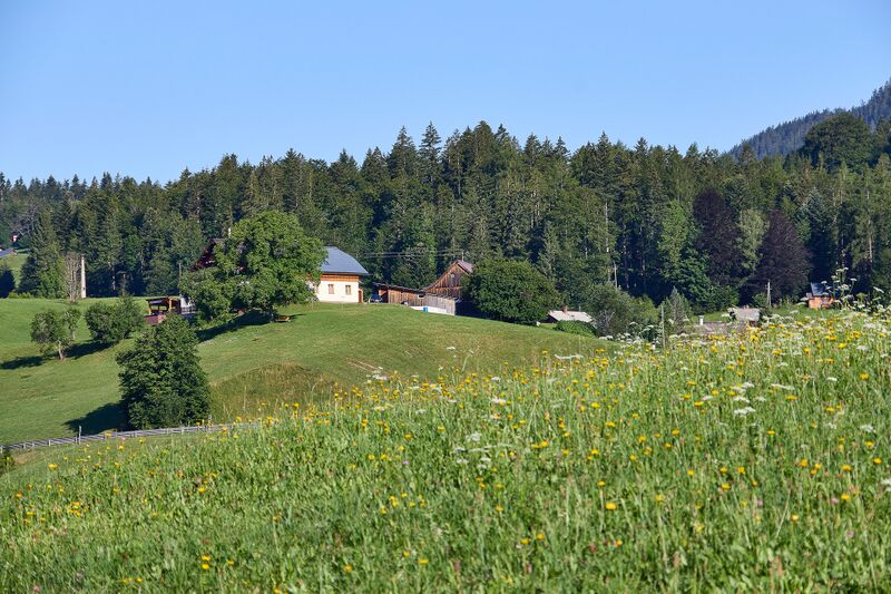 Datei:Salomebüchel Lupitsch-154-2026-07-11.jpg