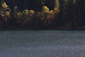 Schwarzensee kleinsölk 72552 2014-09-17.jpg