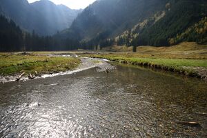 Schwarzensee kleinsölk 73569 2014-10-03.jpg