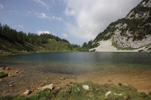 Schwarzensee tot-geb 51373 2017-06-24.jpg