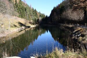 Almseeteich burgstaller 13930 2015-11-12.jpg