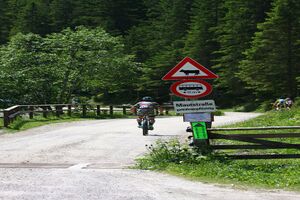 Alpentourtrophy 2014 60304 2014-06-12.jpg