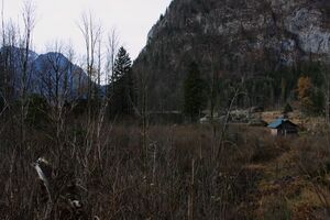 Altaussee seewiese 79092 2014-11-15.jpg