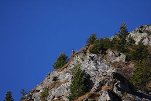 Ferchtlhöhe duisitzkar 65096 2011-10-31.jpg