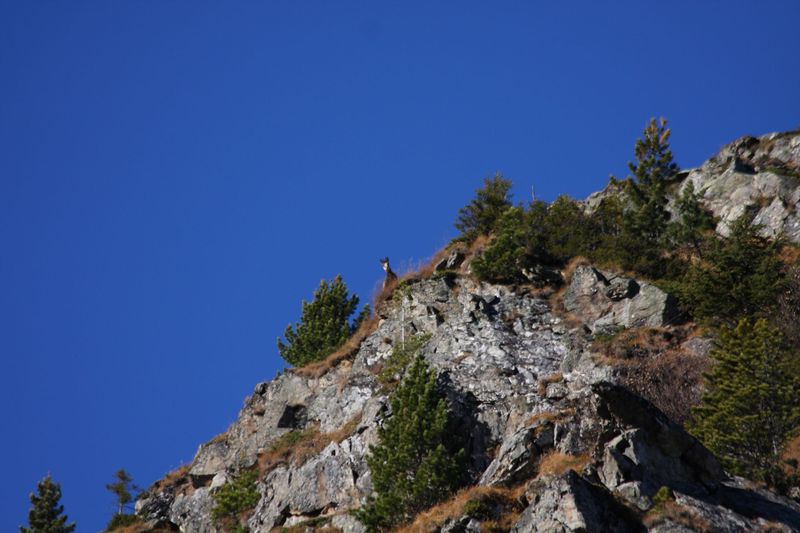 Datei:Ferchtlhöhe duisitzkar 65096 2011-10-31.jpg