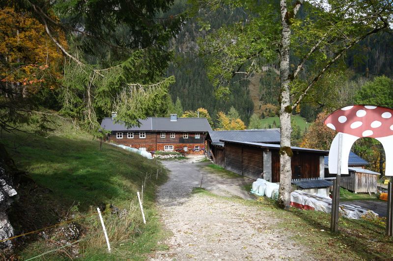 Datei:Gabäcker-fliegenpilz rössing 05844 2015-10-09.jpg