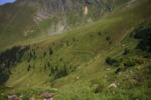 Glatt 1140 13-08-06.jpg