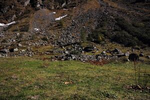 Gollingwinkel 59452 2017-10-02.jpg