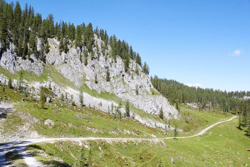 Datei:Große wiesmahd-0241-2022-06-12.jpg