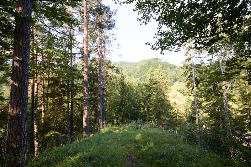 Datei:KalvBerg K-Landl-0159-2025-08-06.jpg