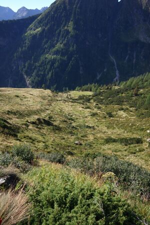 Lassachalm (Alm) 02524 2015-08-28.jpg