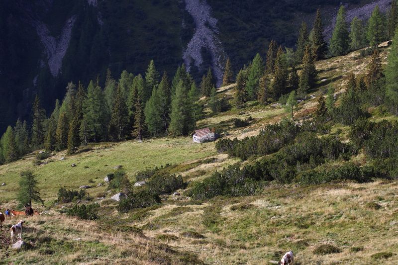 Datei:Lassachalm (Alm) 02549 2015-08-28.jpg