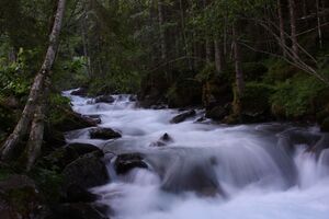 Obertalbach 25092 2009-06-17.jpg