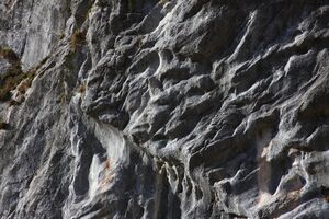 Oberwasseralm 79170 2014-11-15.jpg