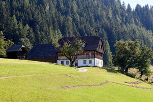 Perberhof michaelerberg Ost 38-0040-2023-08-14.jpg