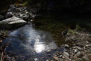 Säusenbach kleinsölk 73593 2014-10-03.jpg