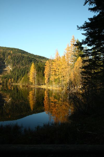 Datei:Ödensee 77959 2014-11-03.jpg