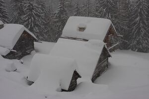 Adambauer gumpeneck 23405 2013-02-03.jpg