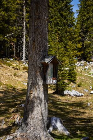 Bildstock 3 Eckangerl-1001-2020-05-08.jpg