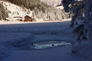 Bodensee 26619 2014-01-01.jpg