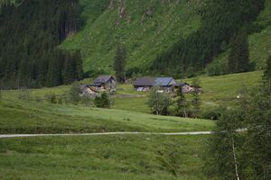 Bräualm 0934 13-06-27.jpg