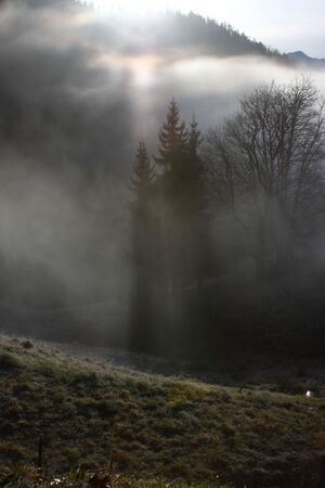 Halseralm-rittis 80035 2014-12-05.jpg