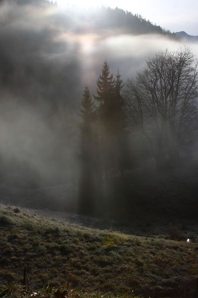 Datei:Halseralm-rittis 80035 2014-12-05.jpg