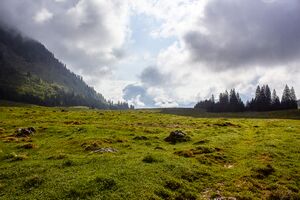 Hintereggalm-0411-2022-05-18.jpg