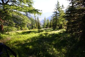 Klockalm 57767 2015-07-11.jpg